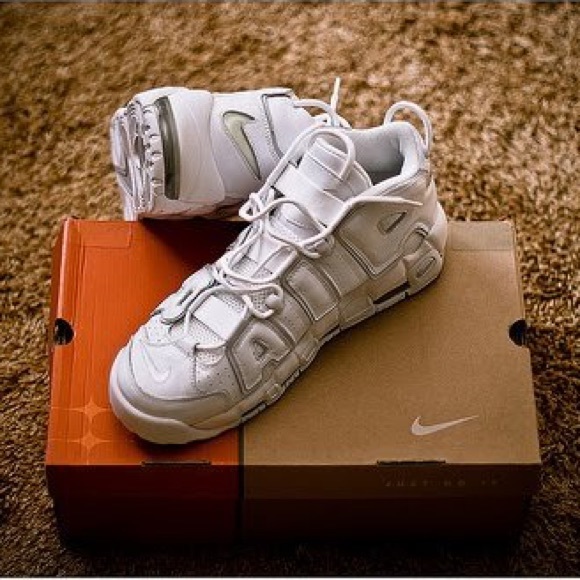 Meet your Posher, Victoria - Picture 1 of 1